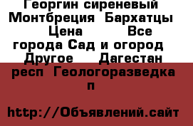 Георгин сиреневый. Монтбреция. Бархатцы.  › Цена ­ 100 - Все города Сад и огород » Другое   . Дагестан респ.,Геологоразведка п.